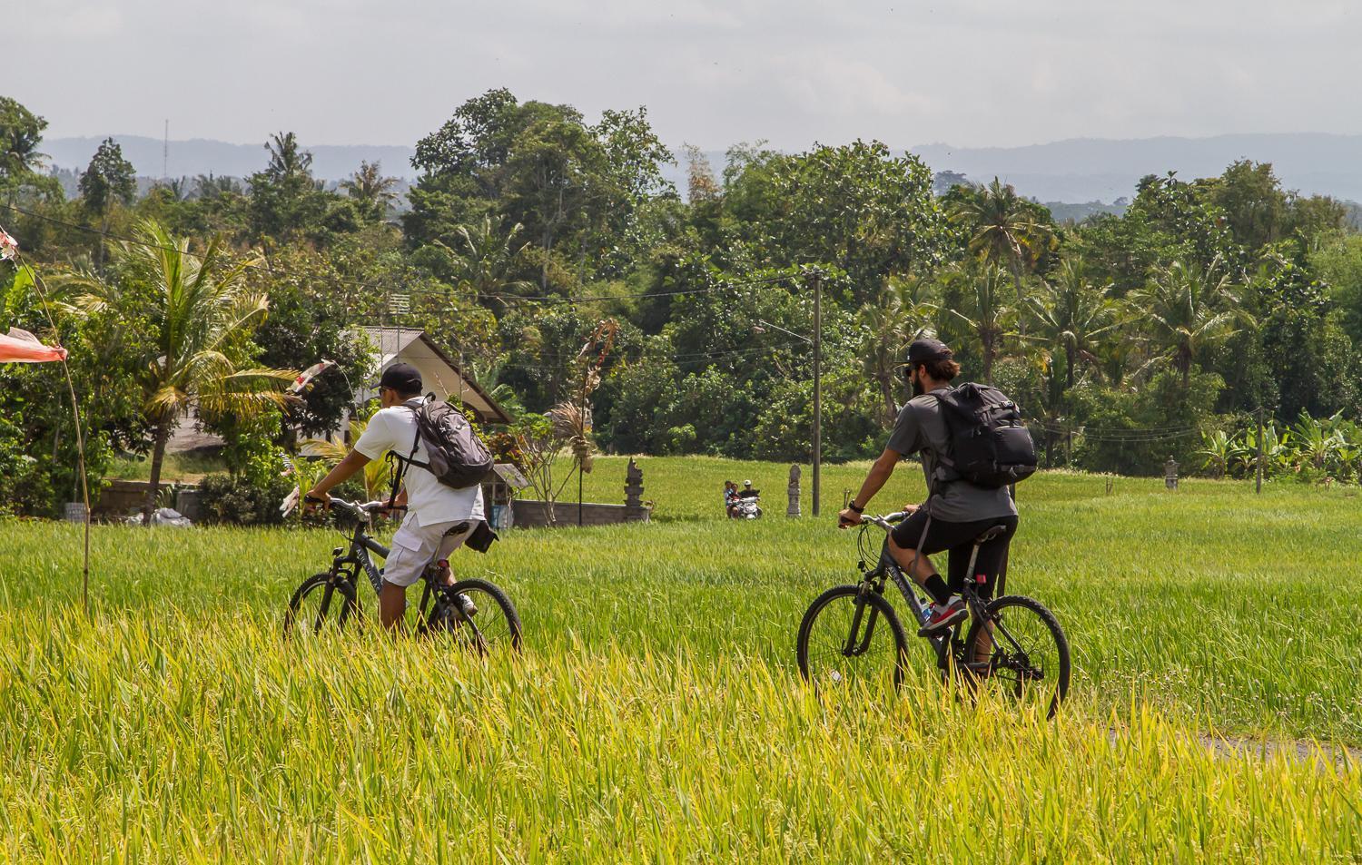 Soori Bali Villa Selemadeg Buitenkant foto